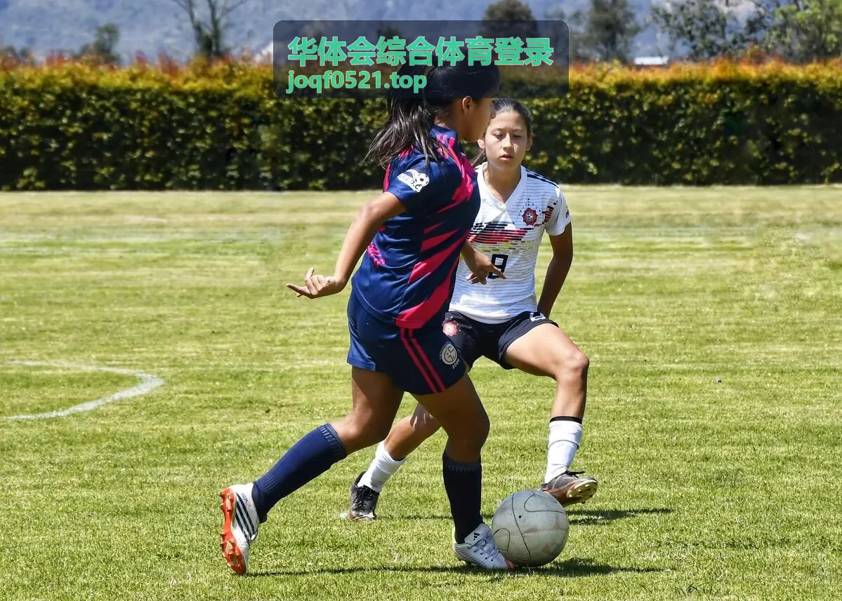 华体会综合体育登录综合体育技术统计与数据面板展示